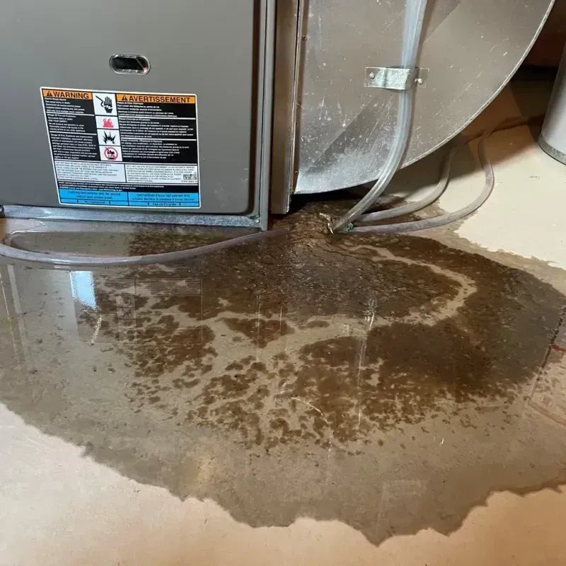 Appliance Leak Cleanup in Centerfield, UT